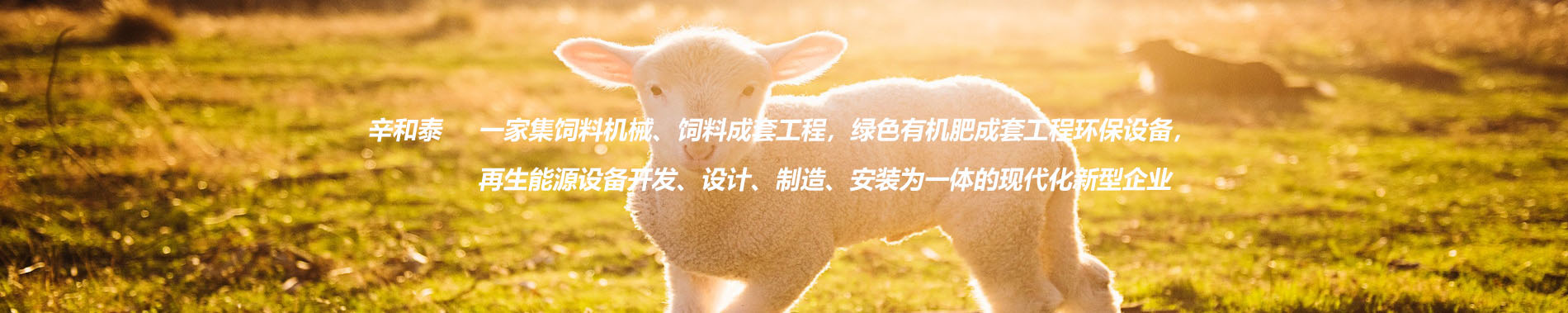 康明斯發(fā)電機(jī)組廠家榮譽(yù)